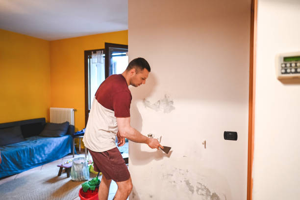 Best Kitchen Mold Remediation in Lemon Grove, CA